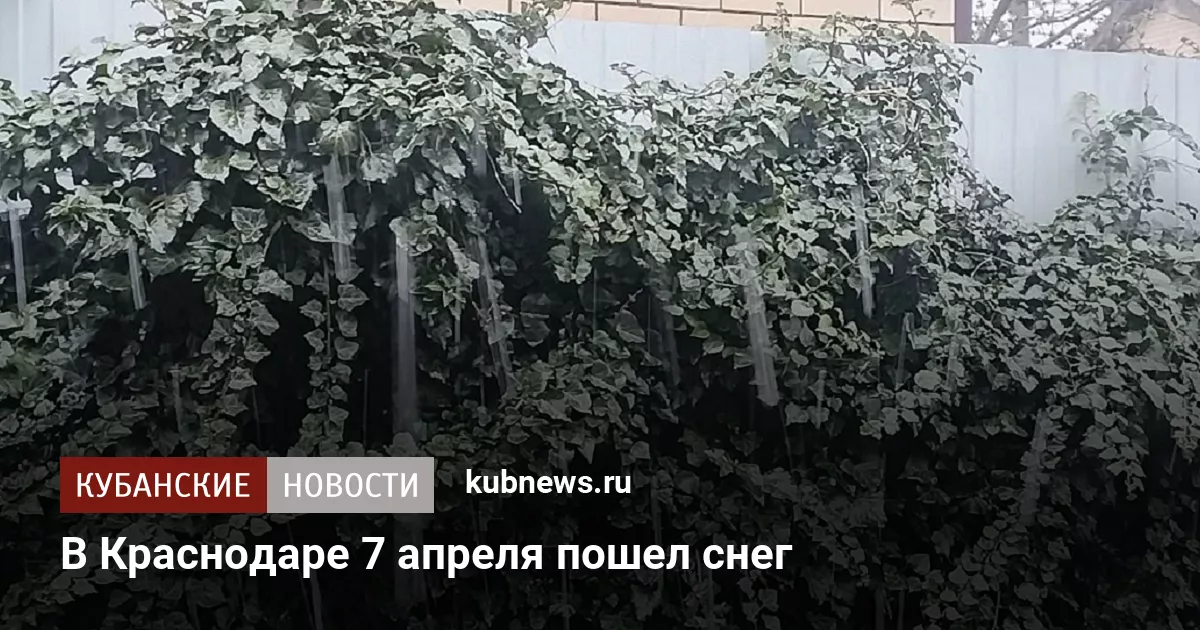 В Краснодаре 7 апреля пошел снег