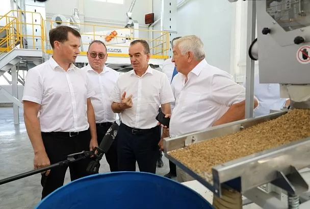 Производство дражированных семян сахарной свеклы и бетаина запустят в Успенском районе