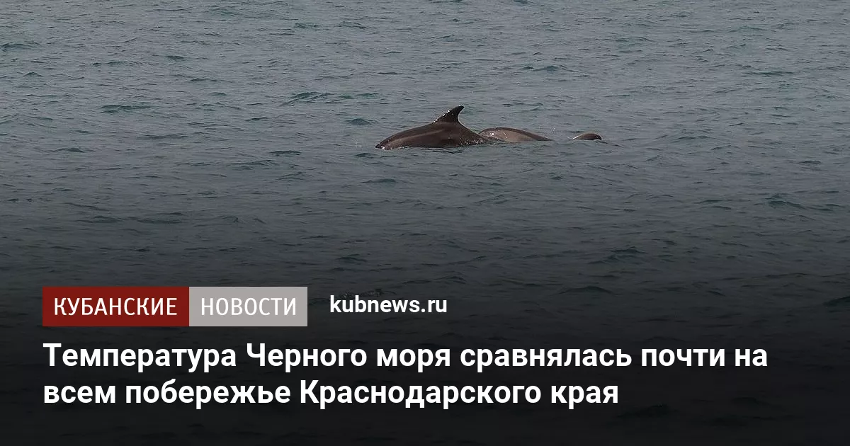 Температура Черного моря сравнялась почти на всем побережье Краснодарского края