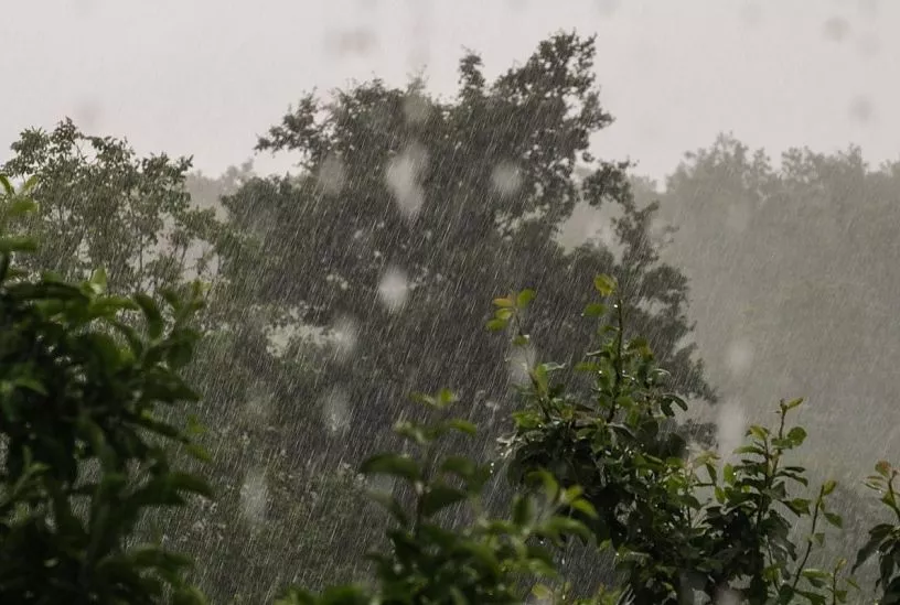 Штормовое предупреждение: сильные дожди вновь прольются в Краснодарском крае