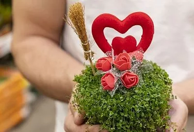 Урожай к 8 Марта! Хит года – полезный ЗОЖ подарок: как вырастить мини-огород в горшке к празднику и подарить