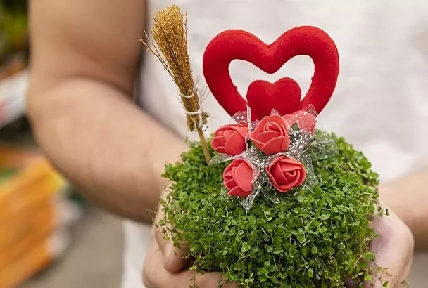 Урожай к 8 Марта! Хит года – полезный ЗОЖ подарок: как вырастить мини-огород в горшке к празднику и подарить