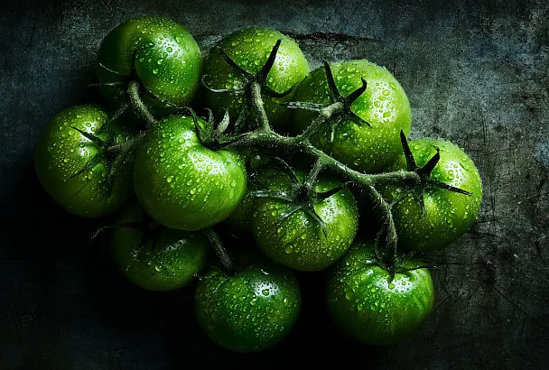 Что делать с зелёными томатами, если фитофтора сразила кусты