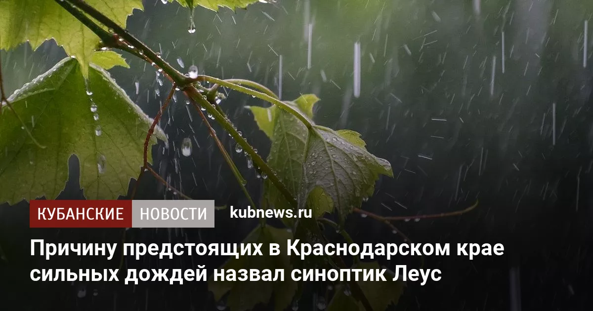 Причину предстоящих в Краснодарском крае сильных дождей назвал синоптик Леус
