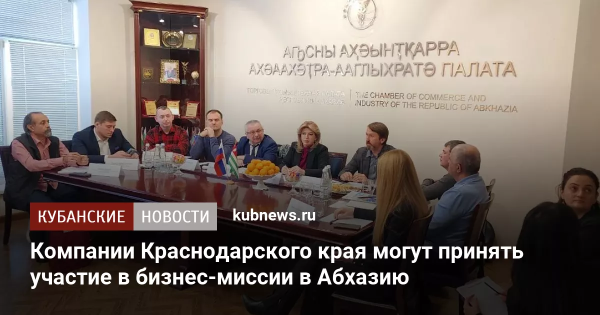 Компании Краснодарского края могут принять участие в бизнес-миссии в Абхазию