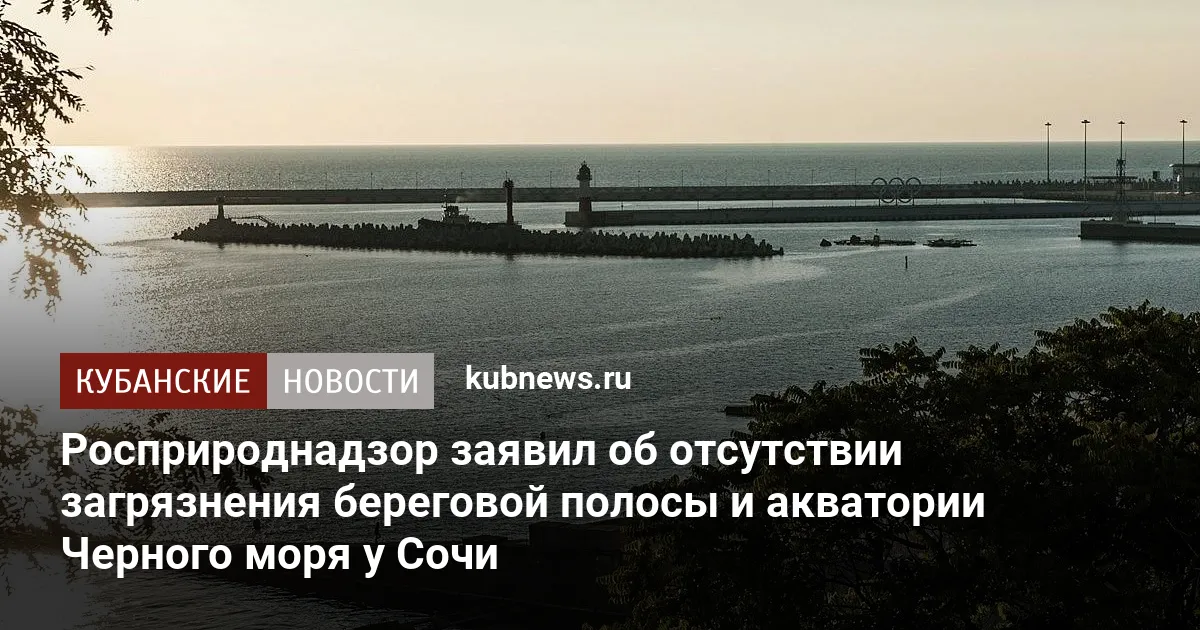 Росприроднадзор заявил об отсутствии загрязнения береговой полосы и акватории Черного моря у Сочи