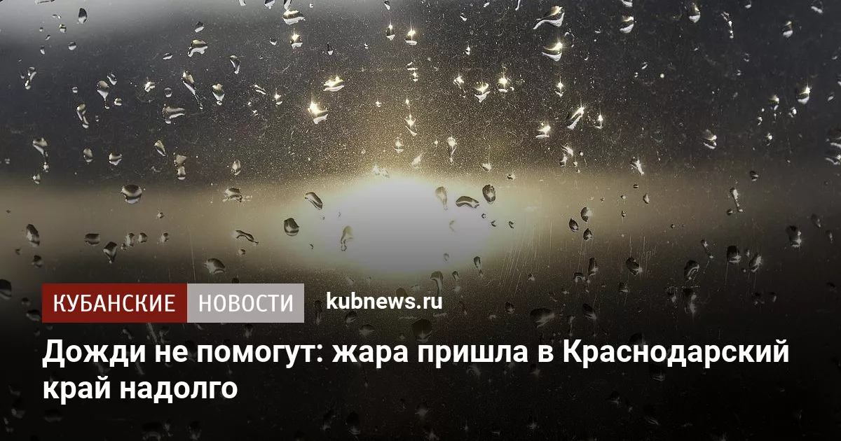 Дожди не помогут: жара пришла в Краснодарский край надолго