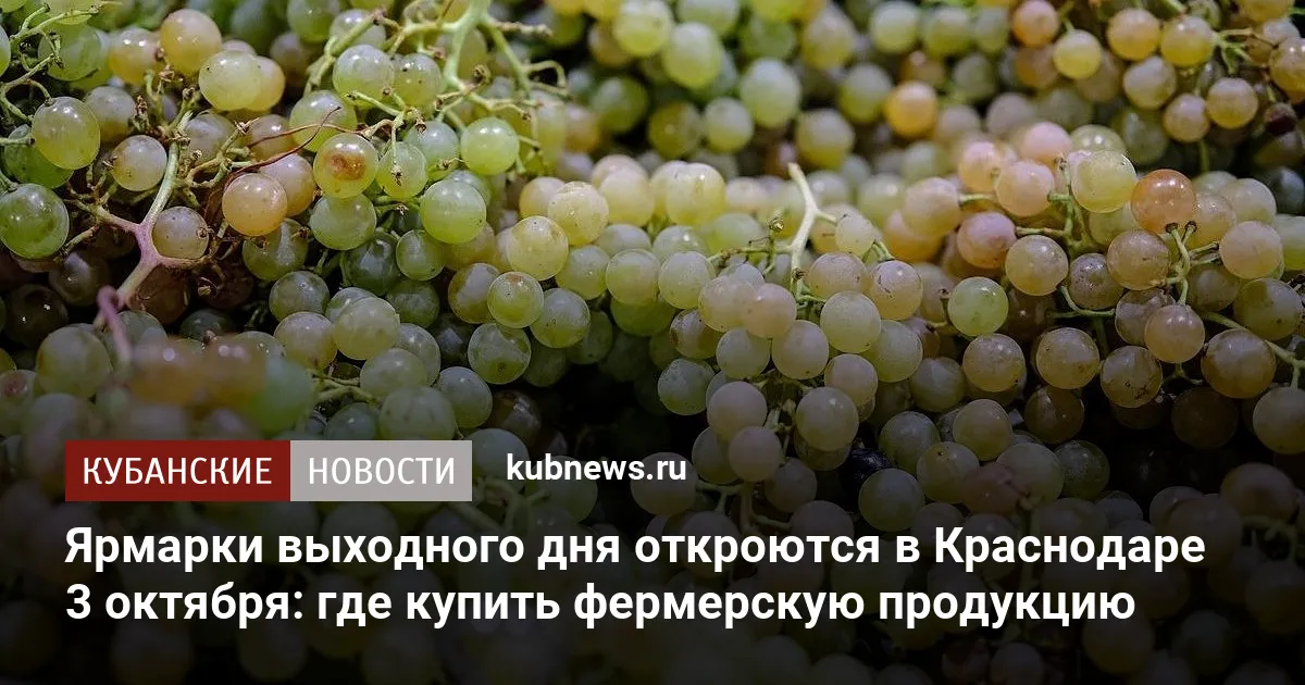 Ярмарки выходного дня откроются в Краснодаре 3 октября: где купить фермерскую продукцию