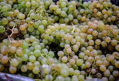 Ярмарки выходного дня откроются в Краснодаре 3 октября: где купить фермерскую продукцию 
