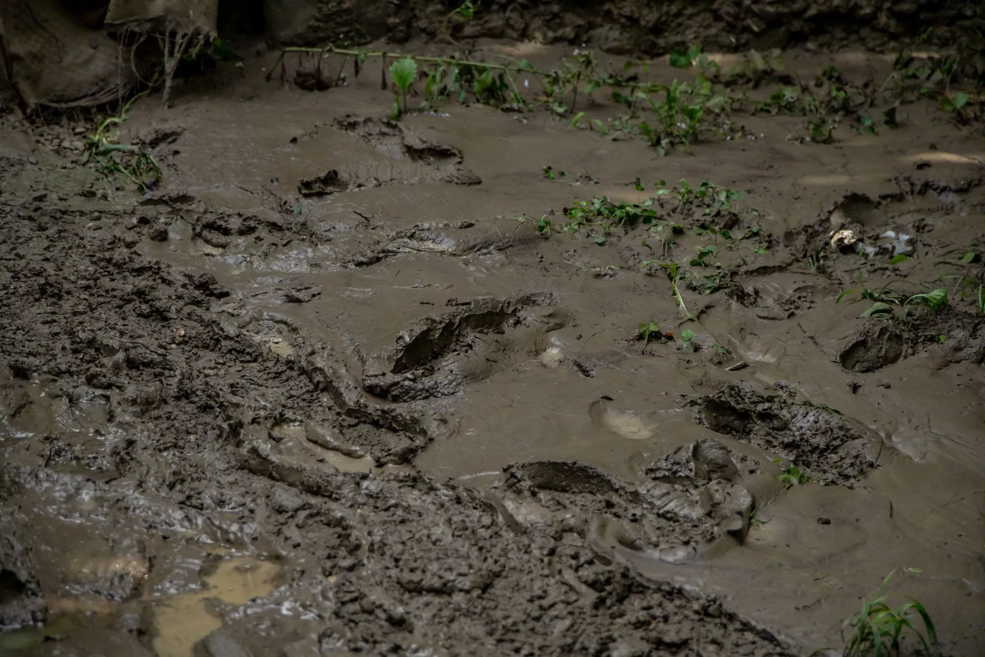 В трех районах Краснодарского края сохраняется повышенный уровень рек
