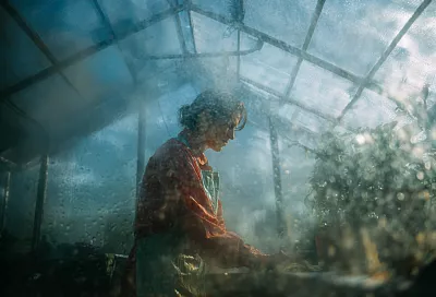 Как подготовить теплицу к зиме и снизить риск болезней без химии