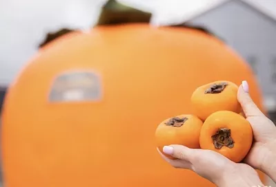 Арт-объект в виде гигантской хурмы появился в центре Краснодара: чему он посвящен