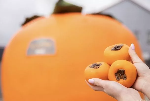 Арт-объект в виде гигантской хурмы появился в центре Краснодара: чему он посвящен