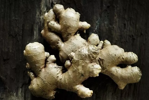 Выращивание имбиря дома: отличный способ получить свежий пряный корень