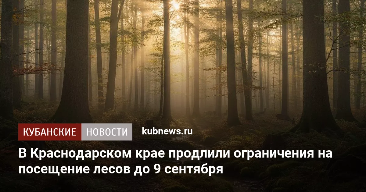 В Краснодарском крае продлили ограничения на посещение лесов до 9 сентября