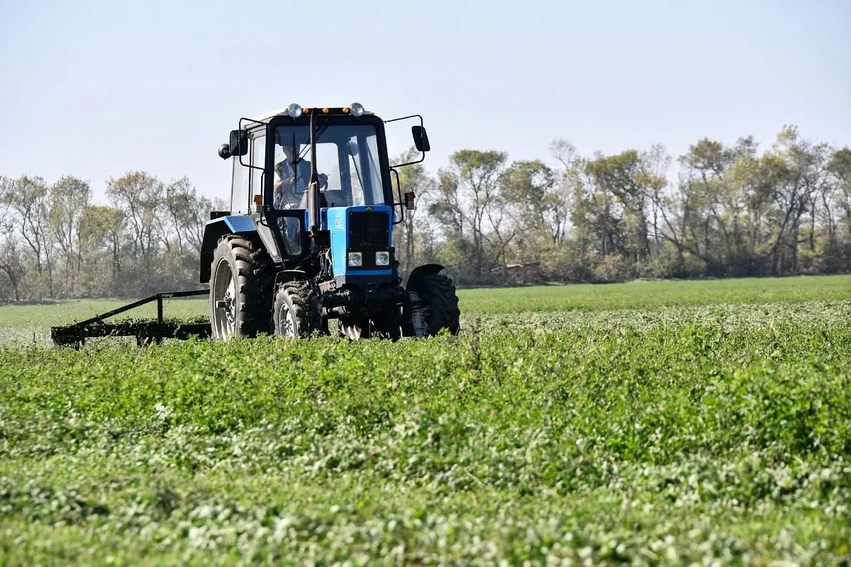 Выращивать многолетние травы не только полезно, но и выгодно. Соя, рапс и другие культуры, в том числе бобовые, тоже хорошо востребованы. Выращивать многолетние травы не только полезно, но и выгодно. Соя, рапс и другие культуры, в том числе бобовые, тоже хорошо востребованы.