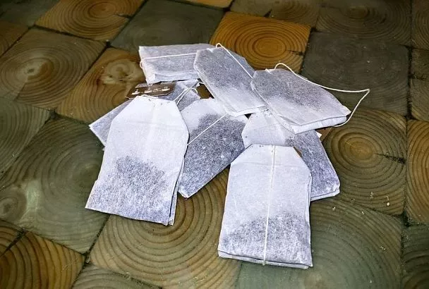 Эффективная подкормка для огурцов из чайных пакетиков: все гениальное просто