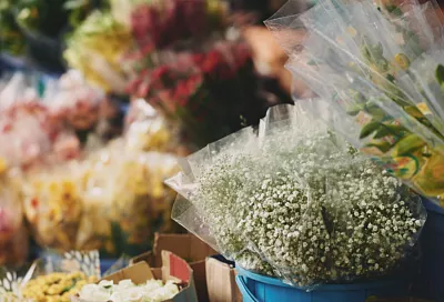 Розы, хризантемы и зелень: как изменился цветочный рынок юга России