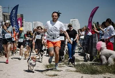 Бежит, лает, всех обгоняет: в Новороссийске прошел первый каникросс-турнир для собак и людей