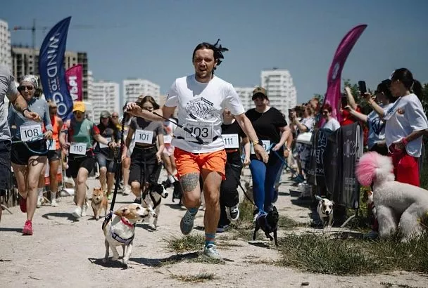 Бежит, лает, всех обгоняет: в Новороссийске прошел первый каникросс-турнир для собак и людей