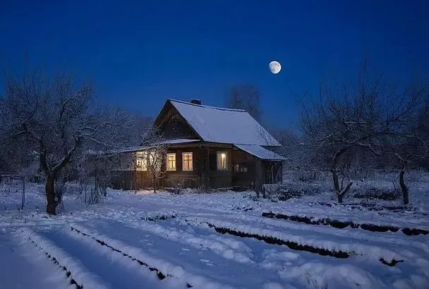 Лунный календарь с 20 по 26 декабря: чем заняться в эти зимние дни в саду и дома