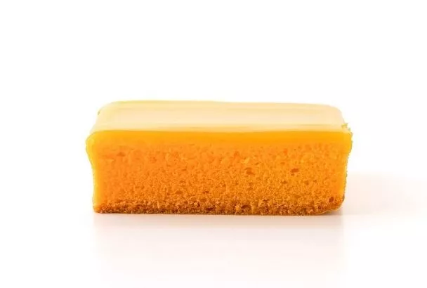 Губка не только для мытья посуды: способ укоренения черенков, за которым будущее