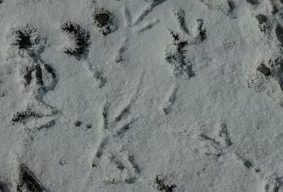 В Ейске выпал первый снег