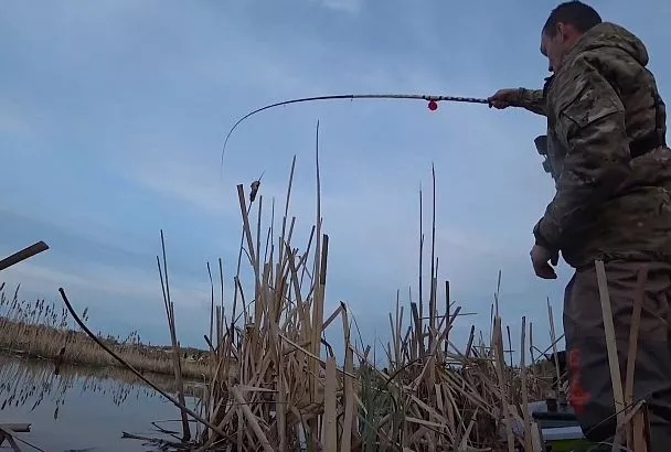 Карась сам подскажет, где его ловить: лайфхак с двумя крючками — клёв рыбы даже в самый капризный день