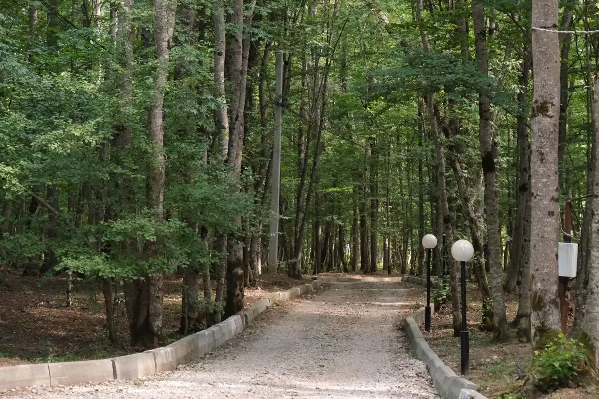 Комиссия проверит детский лагерь в селе Ольгинка Туапсинского округа