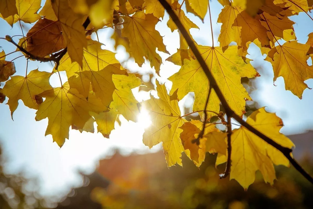 Шесть городов Краснодарского края вошли в топ-10 самых теплых мест России 18 ноября