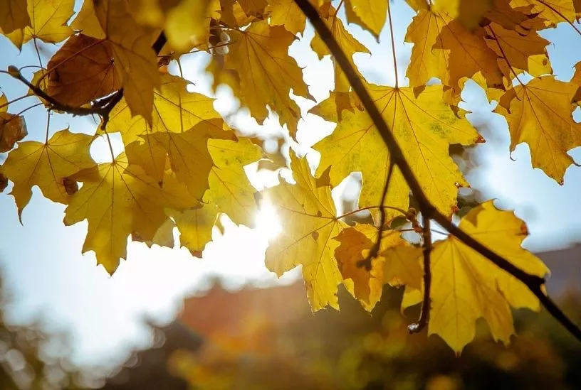 Шесть городов Краснодарского края вошли в топ-10 самых теплых мест России 18 ноября