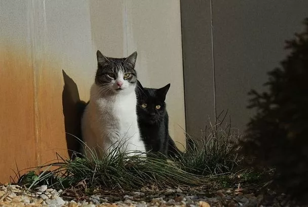 До +16 градусов и без дождя: когда наладится погода в Краснодарском крае