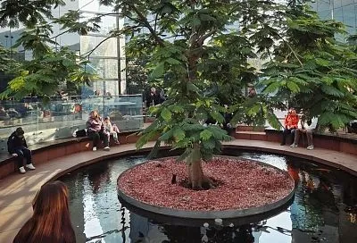 Зеркальный лабиринт в парке «Краснодар» перешел на зимний режим