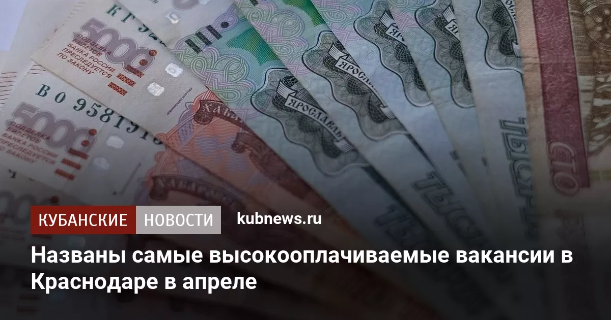 Названы самые высокооплачиваемые вакансии в Краснодаре в апреле