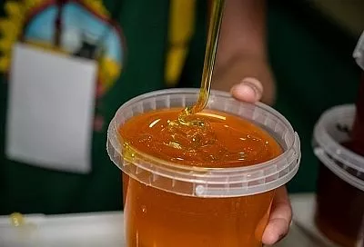 Правильный мед: чем теплее, тем меньше пользы