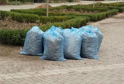 В Краснодаре две мусороуборочные компании заподозрили в картельном сговоре на 4,7 млрд рублей 