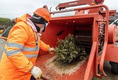 Вторая жизнь новогодней елки: краснодарцам предлагают сдать деревца на переработку