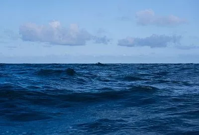 На дне Черного моря найдут затонувшие в XX веке суда с угрозой разлива нефти 