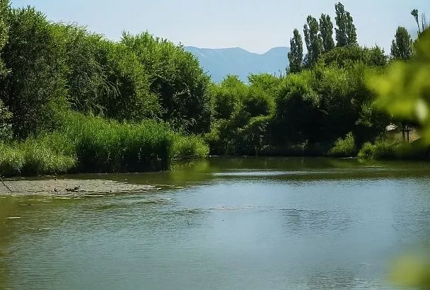 В Новороссийске продолжат очистку Южных прудов после короткой паузы из-за нереста 