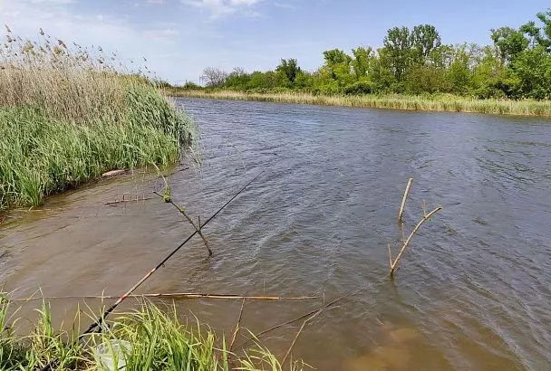 Ловлю карася весной без прикормки: Отчет с «тихой охоты» на малой реке