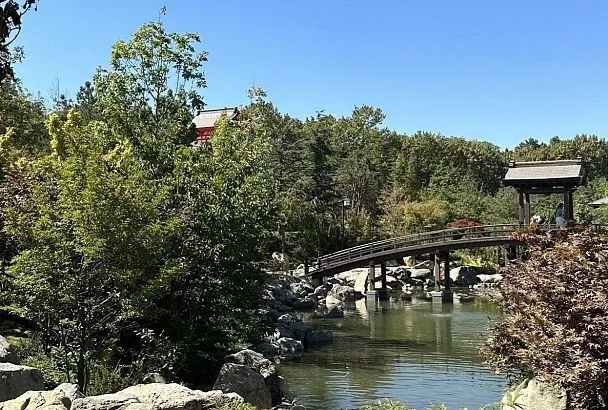 Интерес туристов к Краснодару вырос в несколько раз после открытия аэропорта   