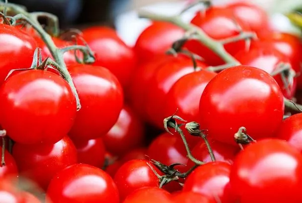 Рассаде томатов сразу после всходов – обязательно: 5 базовых шагов для щедрого урожая на грядках