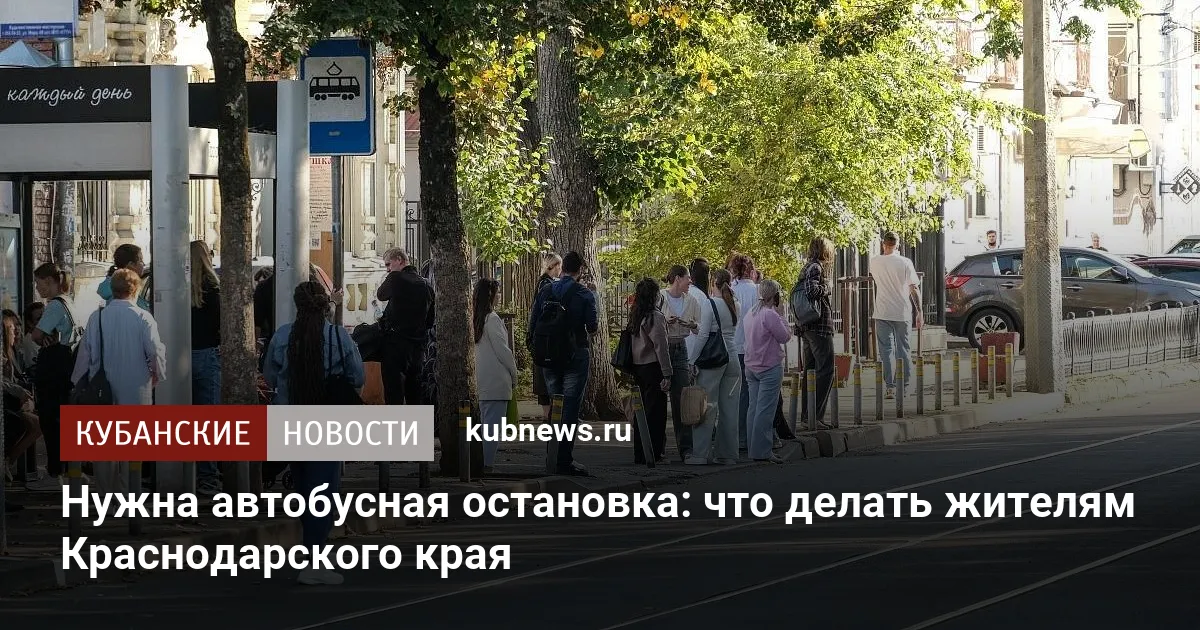 Нужна автобусная остановка: что делать жителям Краснодарского края