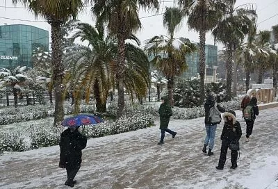 В Сочи 3 февраля может выпасть треть месячной нормы осадков