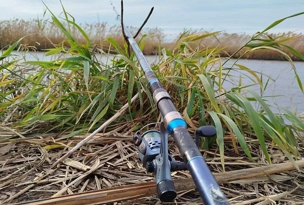 Дать леща: секреты осеннего лова, которые передаются от отца сыну