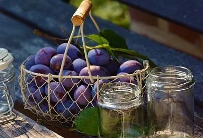 В одной банке соединяю два любимых лакомства - сливы и шоколад: рецепт варенья, которым можно смело угощать хоть короля!