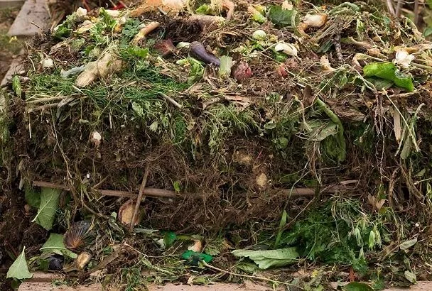 Как использовать компост с умом: делимся ценным удобрением по приоритетам