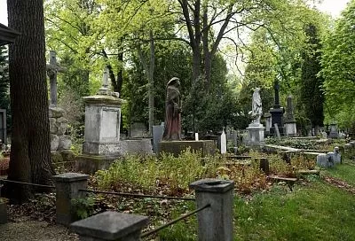 Сервис по поиску мест для захоронения появится на портале Госуслуг к декабрю 2026 года