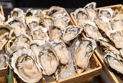 Краснодарский край вошел в число гастрономических регионов России