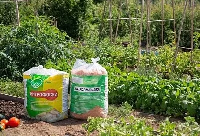 Дело в приставке: нитрофоска и нитроаммофоска – в чем разница?